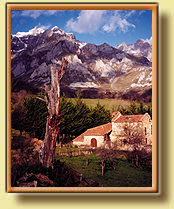 Picos de Europa