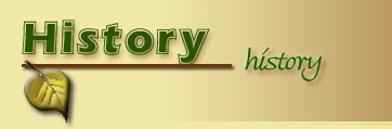 History