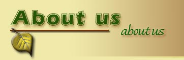 About us: Youth Hostel Spain 